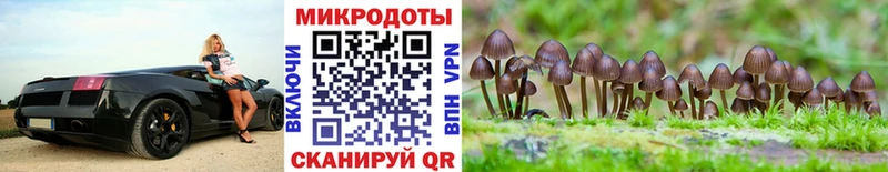 Галлюциногенные грибы GOLDEN TEACHER  Верхоянск 